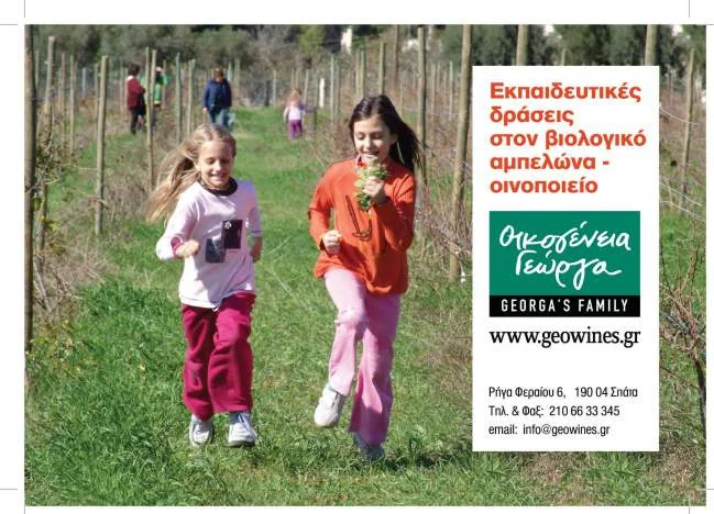 Οικογένεια Γεώργα, Βιολογικός Αμπελώνας και Οινοποιείο