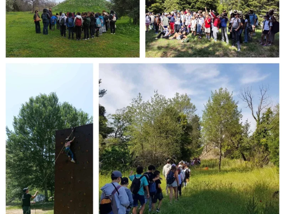 TEAM BUILDING/BONDING EXPERIENCES (ARMONIA-ZEN)