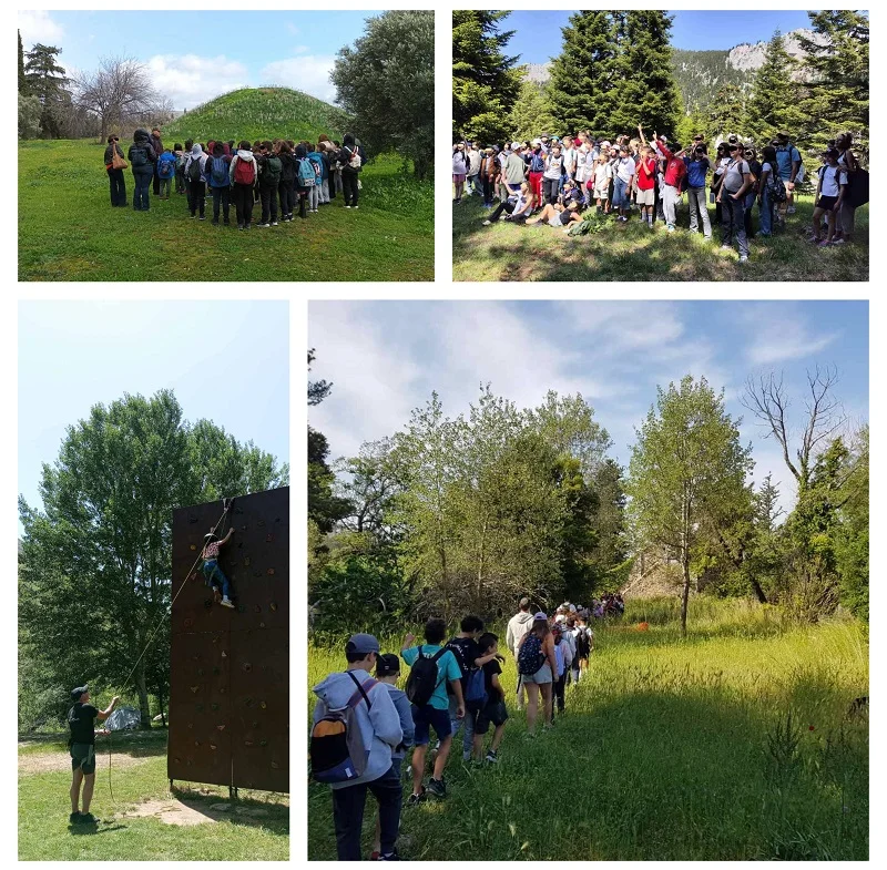 TEAM BUILDING/BONDING EXPERIENCES (ARMONIA-ZEN)