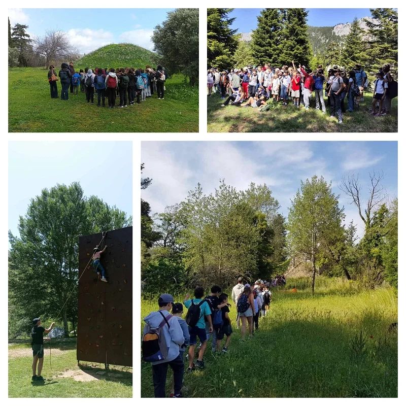 1 TEAM BUILDING/BONDING EXPERIENCES (ARMONIA-ZEN)