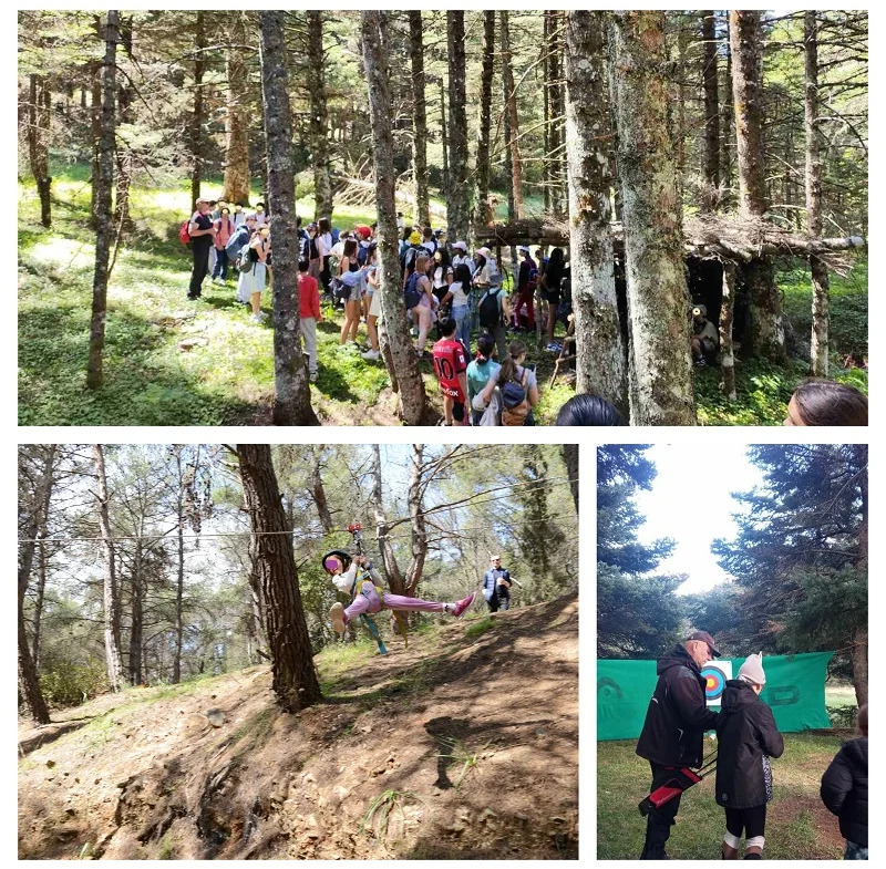 TEAM BUILDING/BONDING EXPERIENCES (ARMONIA-ZEN)