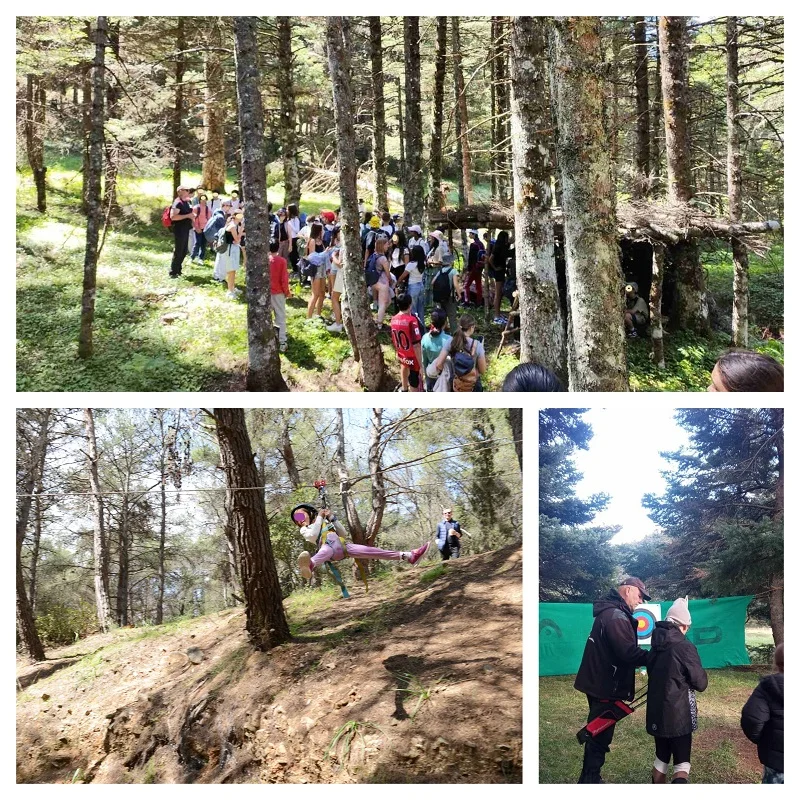 2 TEAM BUILDING/BONDING EXPERIENCES (ARMONIA-ZEN)