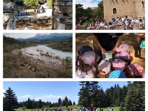TEAM BUILDING/BONDING EXPERIENCES (ARMONIA-ZEN)