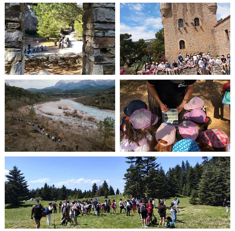TEAM BUILDING/BONDING EXPERIENCES (ARMONIA-ZEN)