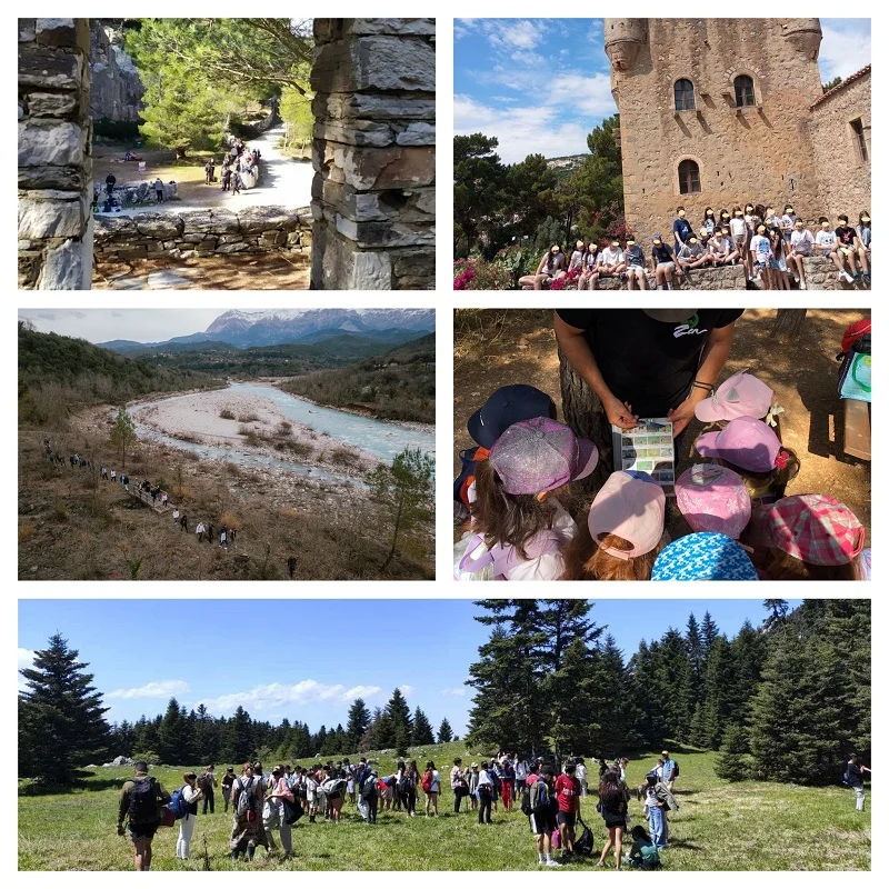 3 TEAM BUILDING/BONDING EXPERIENCES (ARMONIA-ZEN)