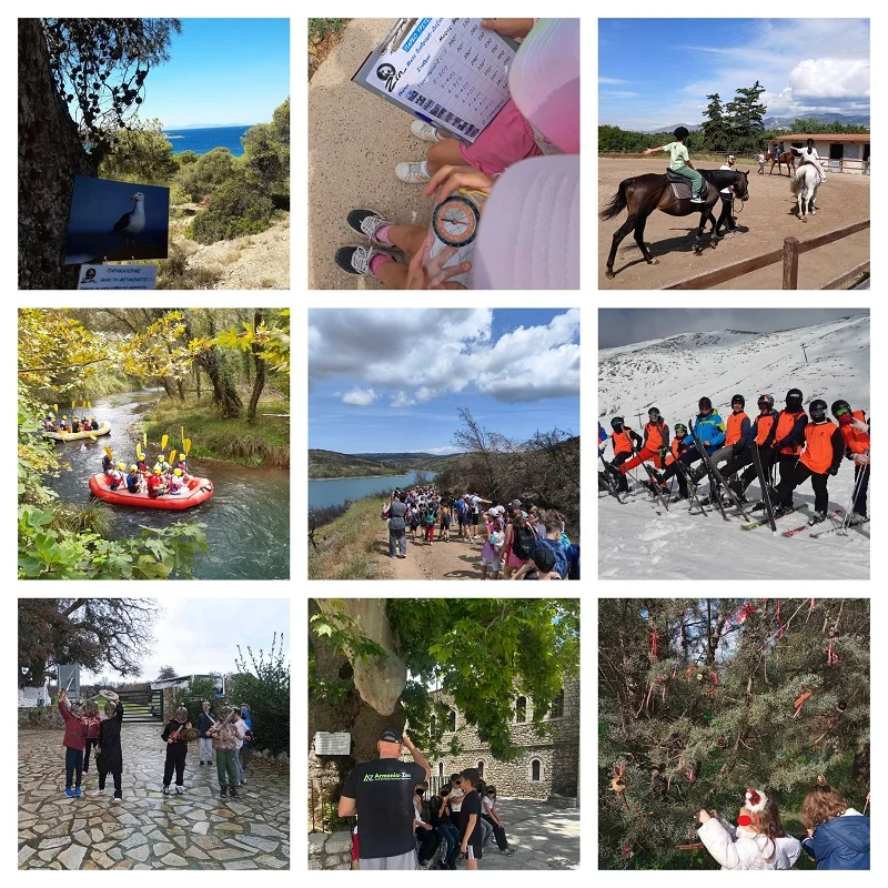 5 TEAM BUILDING/BONDING EXPERIENCES (ARMONIA-ZEN)